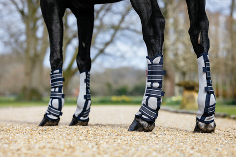 LeMieux® Arika Mesh Fly Boots