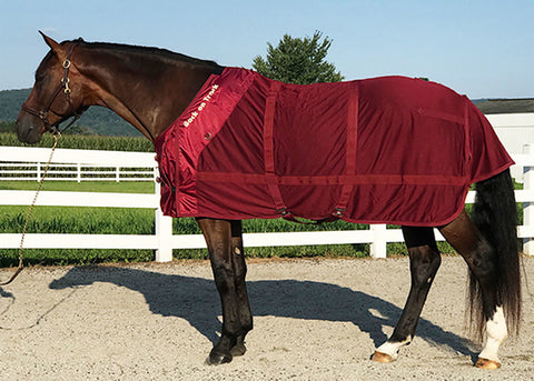 Back on Track® Therapeutic Mesh Horse Sheet