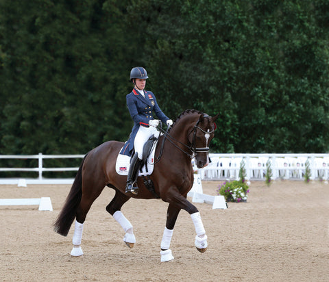 LeMieux® Luxury Fleece Polo Wraps