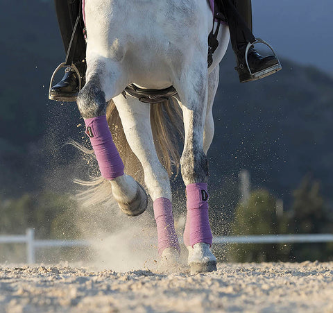 LeMieux® Luxury Fleece Polo Wraps