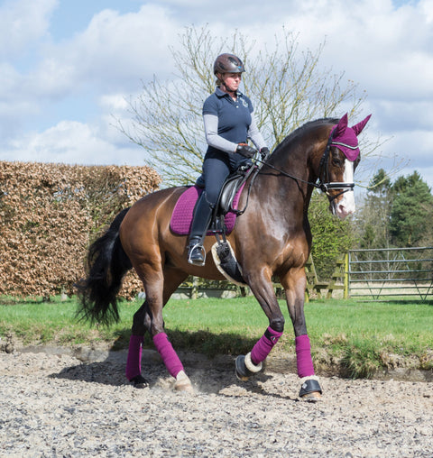 LeMieux® Luxury Fleece Polo Wraps