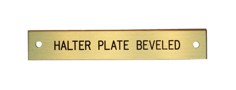 Beveled Edge Halter Nameplate - 1 or 2 lines