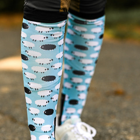 Dreamers and Schemers Pair and a Spare Socks