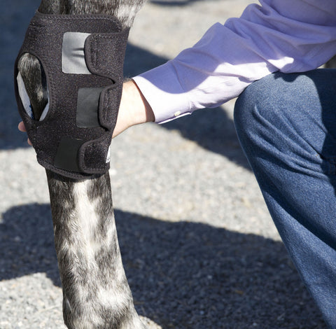 Ice Horse® Pony Hock Wrap – Pair