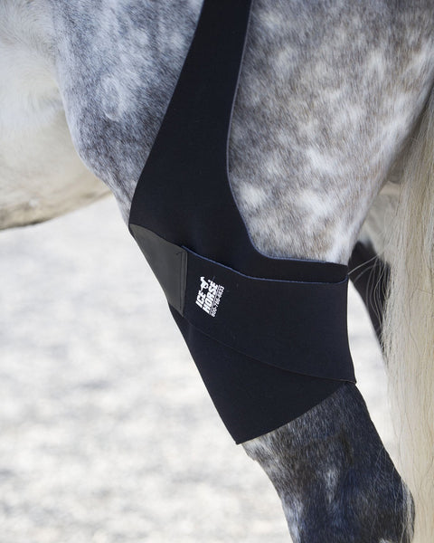 Ice Horse® Pony Stifle Wraps – Pair