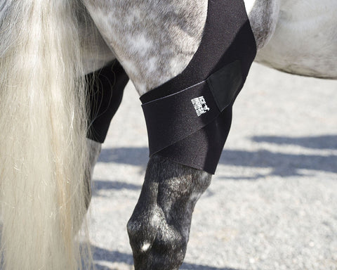 Ice Horse® Pony Stifle Wraps – Pair