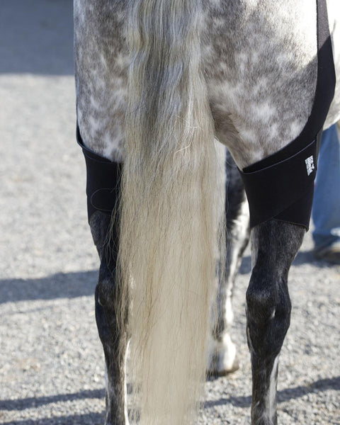 Ice Horse® Pony Stifle Wraps – Pair