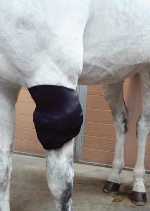 Ice Horse® All-Purpose Wrap