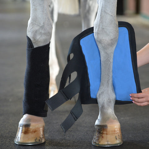 EquiFit®Essential Cold Therapy Tendon Boots