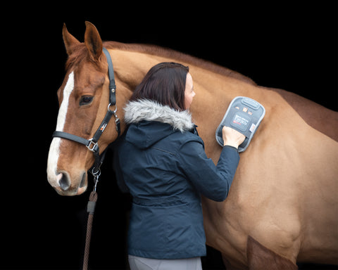 Equilibrium Therapy® Heated Massage Mitt