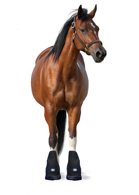 Ice Horse® Small Laminitis Pro Boot