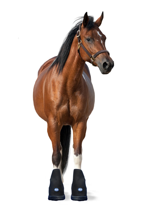 Ice Horse® Medium Laminitis Pro Boot