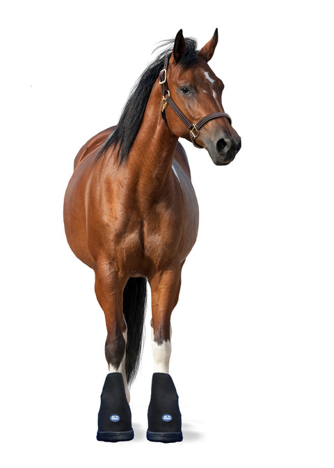 Ice Horse® Large Laminitis Pro Boot