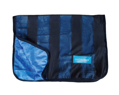 Back on Track® Cool on Track® Towel