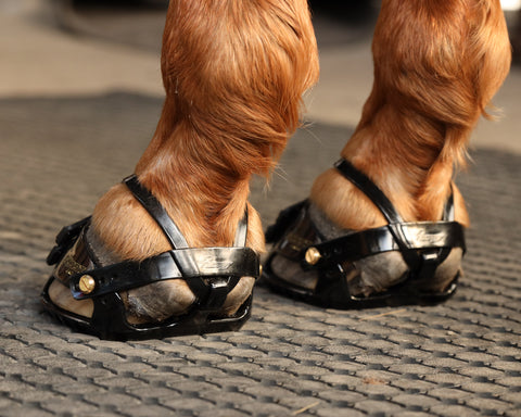 Scoot Boot Adjust Hoof Boots - Pair