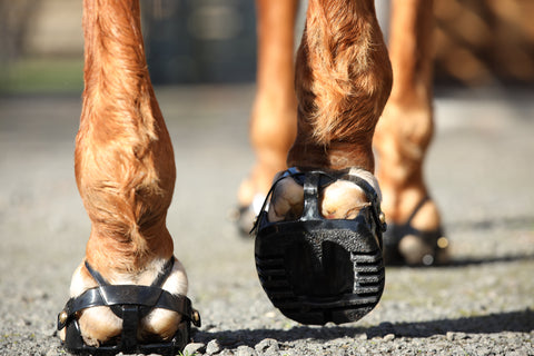 Scoot Boot Adjust Hoof Boots - Pair