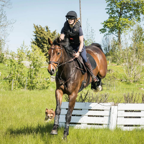 Back on Track® Deep Nights Brush Boots