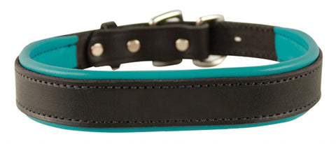 Perri’s® Padded Leather Nameplate Dog Collar