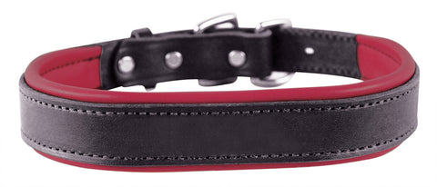 Perri’s® Padded Leather Nameplate Dog Collar