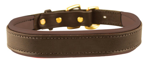 Perri’s® Padded Leather Nameplate Dog Collar