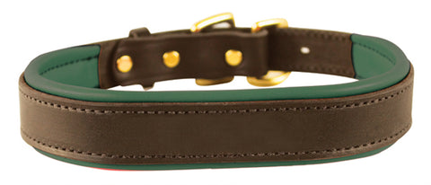 Perri’s® Padded Leather Nameplate Dog Collar
