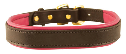 Perri’s® Padded Leather Nameplate Dog Collar