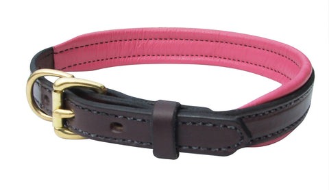 Perri’s® Padded Leather Nameplate Dog Collar