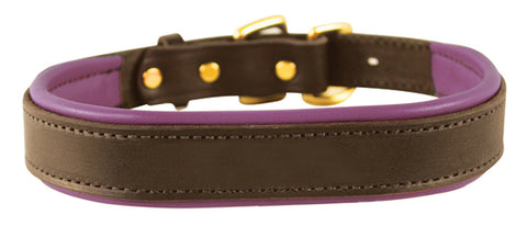 Perri’s® Padded Leather Nameplate Dog Collar