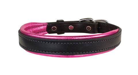 Perri’s® Padded Leather Nameplate Dog Collar