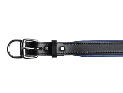 Perri’s® Padded Leather Nameplate Dog Collar