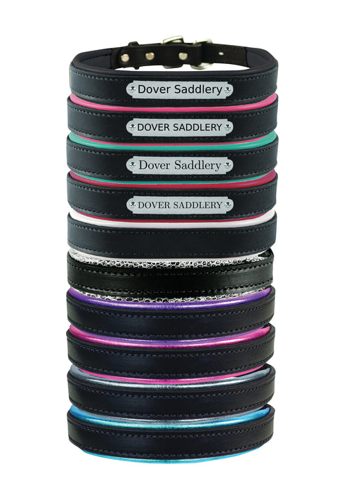 Perri’s® Padded Leather Nameplate Dog Collar