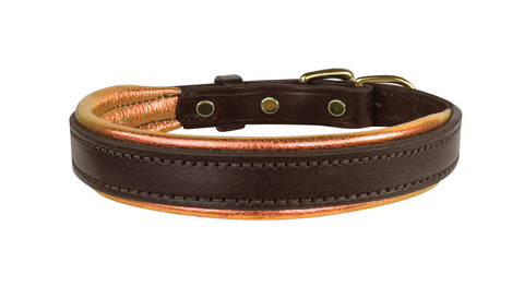 Perri’s® Padded Leather Nameplate Dog Collar