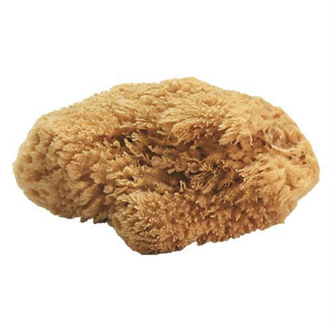 Natural Sea Sponges