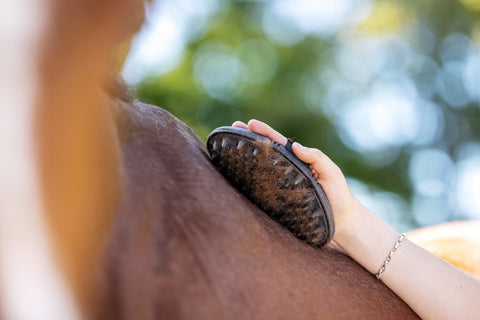 LeMieux® Flexi Massage Brush