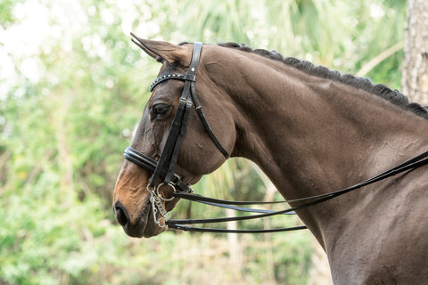 Otto Schumacher Tiffany Double Bridle