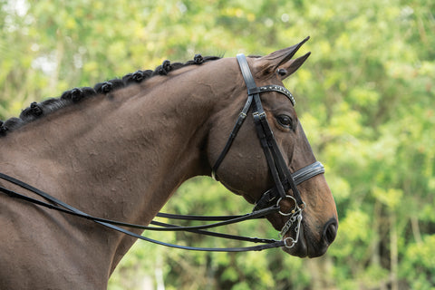 Otto Schumacher Tiffany Double Bridle