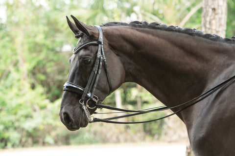 Otto Schumacher Patent Venedig Double Bridle