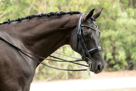 Otto Schumacher Patent Venedig Double Bridle