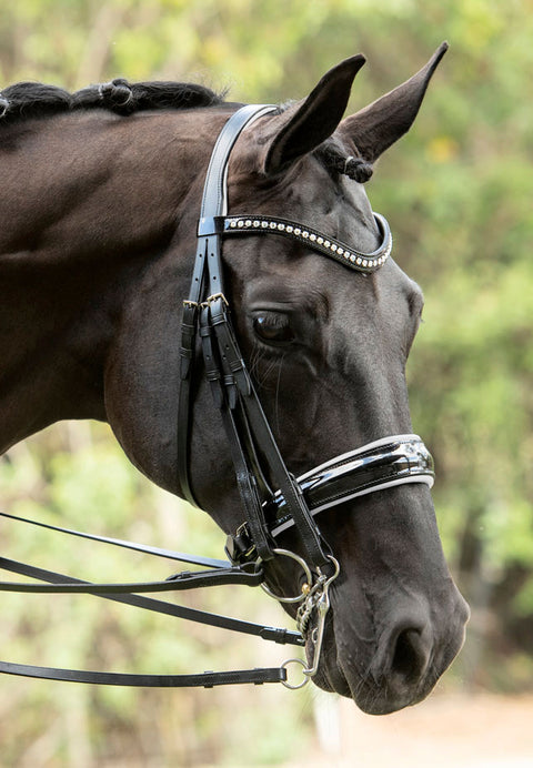 Otto Schumacher Patent Venedig Double Bridle