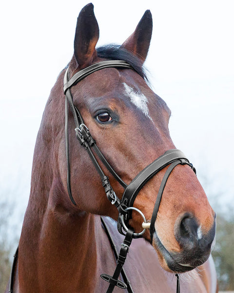 Horze Venice Snaffle Bridle