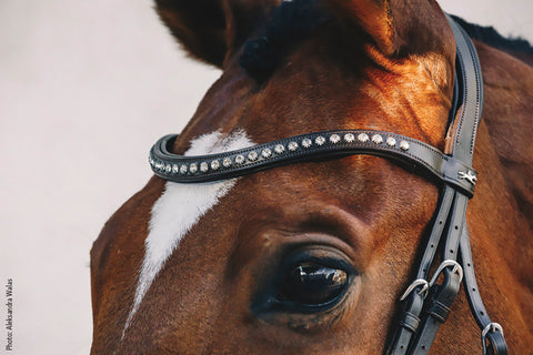 Schockemöhle Rome Select Bridle