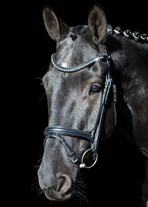 Schockemöhle Rome Select Bridle