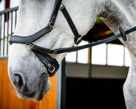 Horseware® Ireland Micklem2 Multibridle USA with Reins