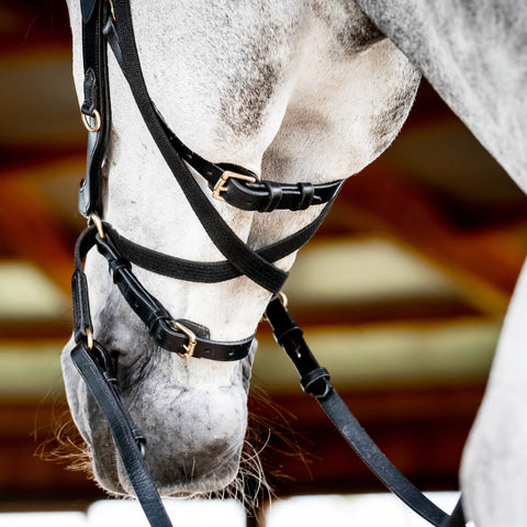 Horseware® Ireland Micklem2 Multibridle USA with Reins