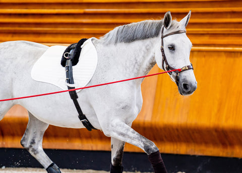 Horseware® Ireland Micklem2 Multibridle USA with Reins