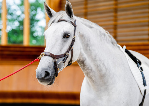 Horseware® Ireland Micklem2 Multibridle USA with Reins