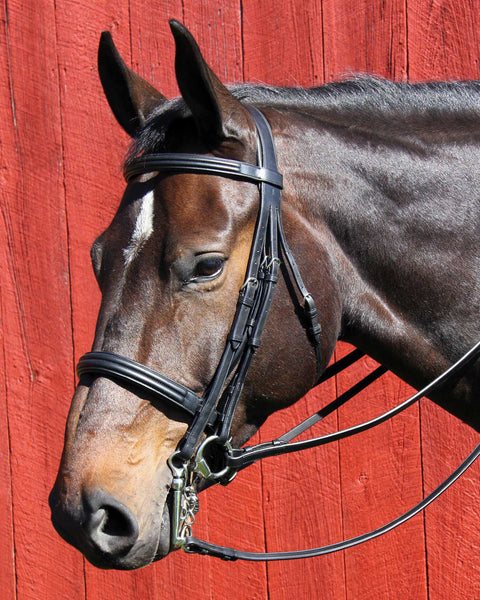 Vespucci Dressage Double Raised Weymouth Bridle