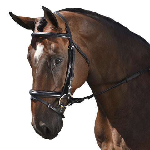 Marcel Toulouse Euro Style Dressage Bridle