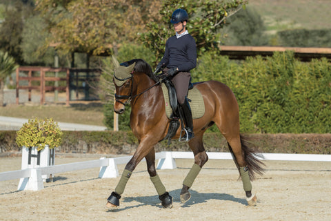 LeMieux® Suede Dressage Square Pad