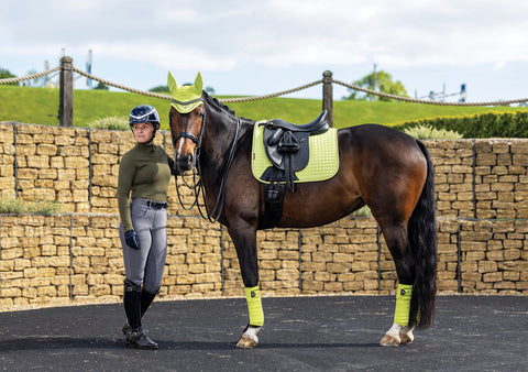 LeMieux® Luxury Suede Dressage Pad